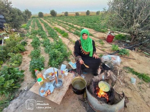 Femme de mon pays, femme palestinienne
