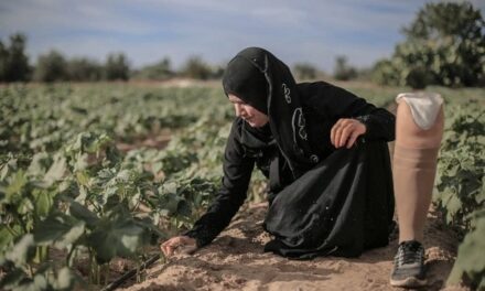 Femme amputée de Gaza – Femme digne