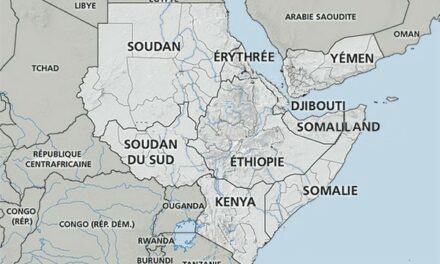 Pourquoi cette attaque des médias occidentaux contre l’Éthiopie et l’Érythrée ?