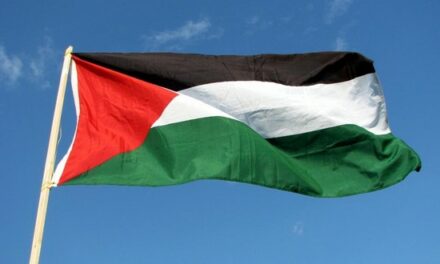 Communication Palestine contre Israël: étape relative à l’admissibilité franchie