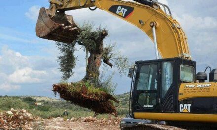 BDS : Les bulldozers vendus à Israël n’ont pas la cote : L’Église méthodiste désinvestit de Caterpillar