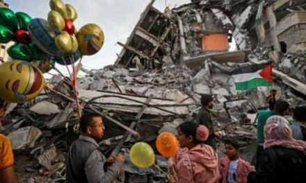 Onze jours d’horreur absolue. La population de Gaza fière, déterminée et confiante