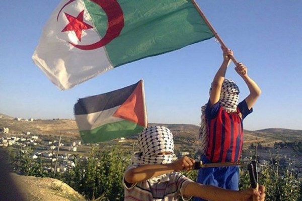 Algérie: Tenir les Palestiniens pour responsables des violences est inacceptable