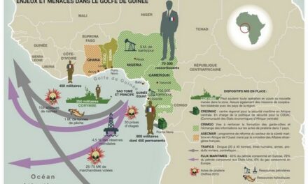 La Russie se déploie en Afrique centrale et dans le Golfe de Guinée