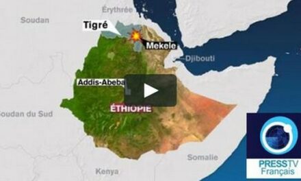 Éthiopie & Érythrée vs Tigré (I) : sécession du Tigre, un plan américano-israélien