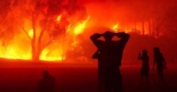 A propos des incendies en Algérie