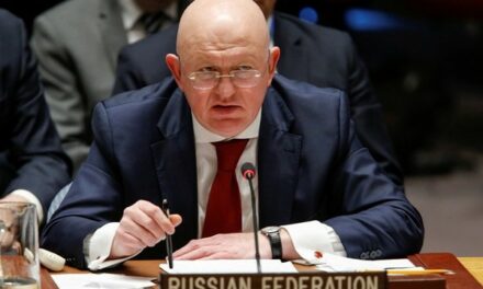 La Russie condamne au CS de l’Onu les agressions israéliennes contre la Syrie