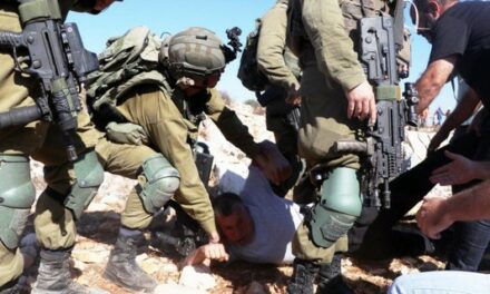 Agressions contre la cueillette des olives en Palestine : Mohammed Khatib doit être libéré immédiatement
