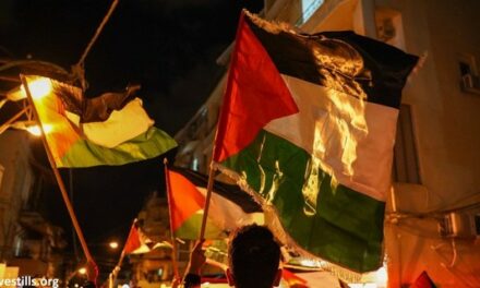 29 novembre : l’urgence d’une action concrète pour soutenir les défenseurs palestiniens des droits humains