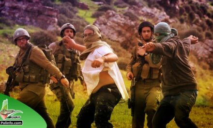 Peace Now : les attaques des colons sont une stratégie officielle pour anéantir la Cisjordanie