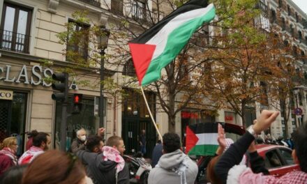 A propos de la Journée internationale de solidarité avec le peuple palestinien