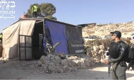 Israël démantèle et confisque l’enclos du bétail et les fondations des maisons, district d’Hébron