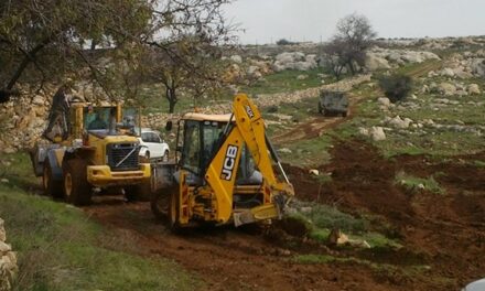 Cheikh Jarrah: l’occupation israélienne rase un territoire de 4 700 m2 et prépare la construction d’une colonie jusqu’à Bab al-Amoud