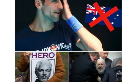 Novak Djokovic n’est pas un héros. Julian Assange, si.