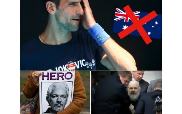 Novak Djokovic n’est pas un héros. Julian Assange, si.
